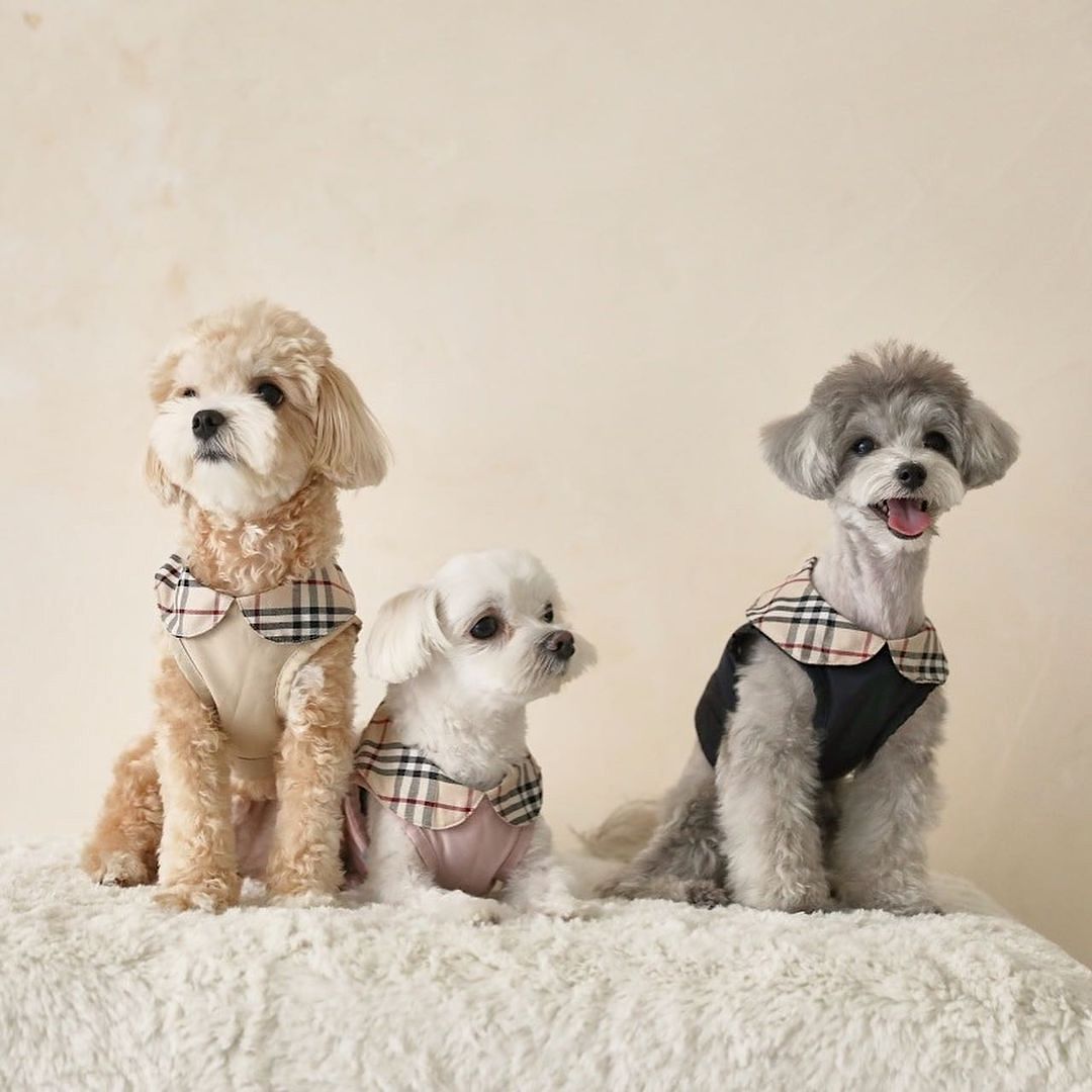 Trench Coat Harness