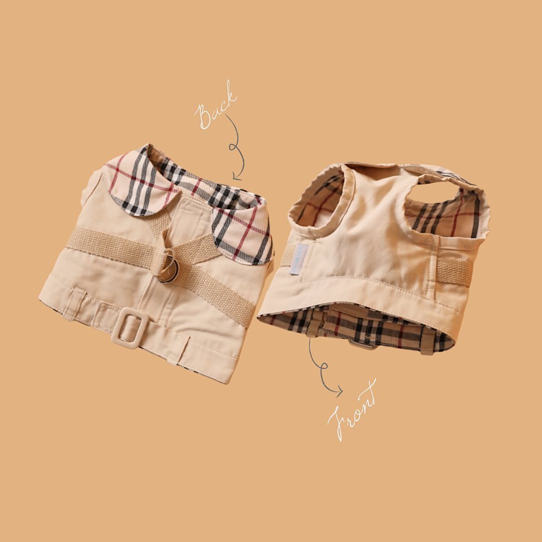 Trench Coat Harness
