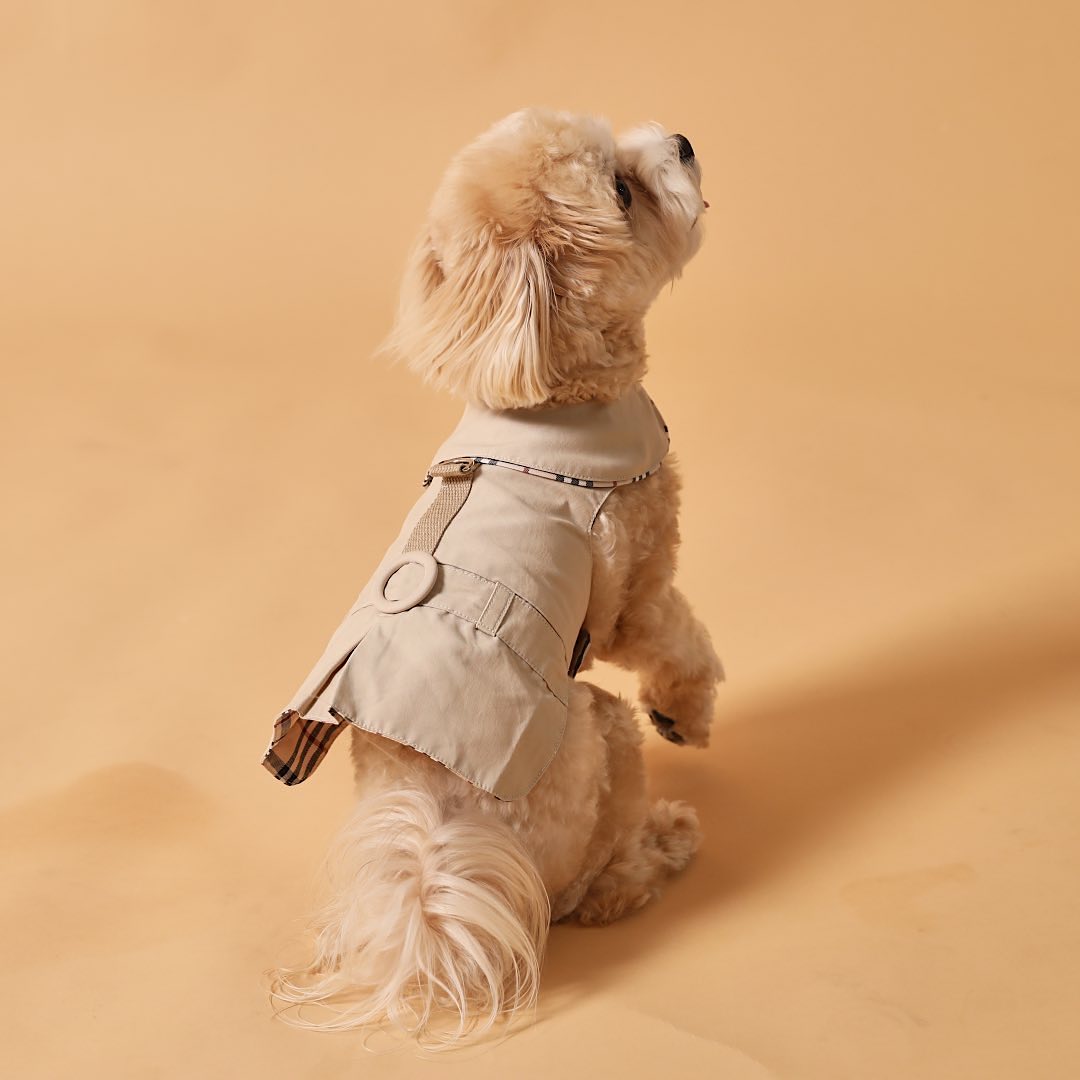 Trench Coat Harness