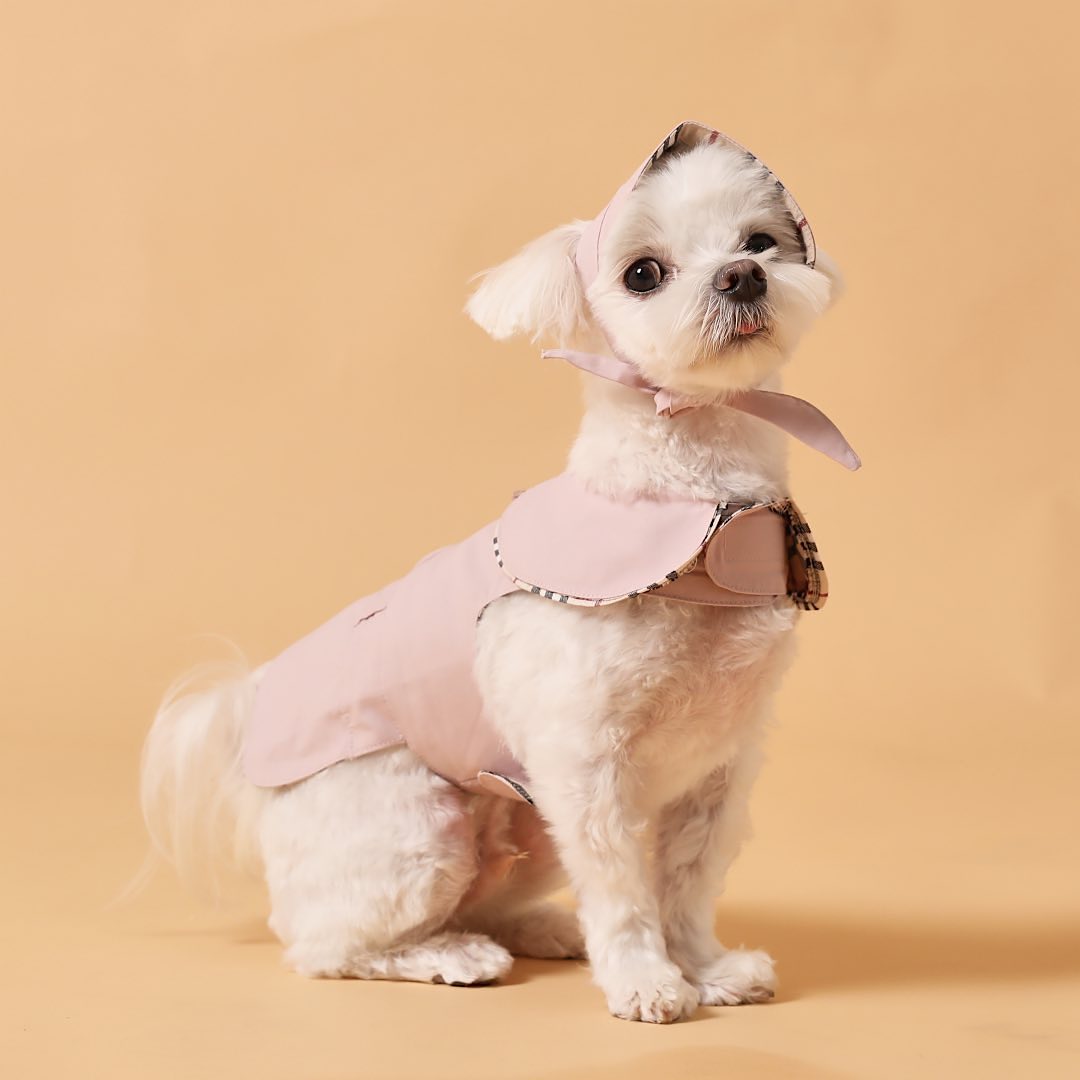 Trench Coat Harness