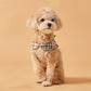 Trench Coat Harness