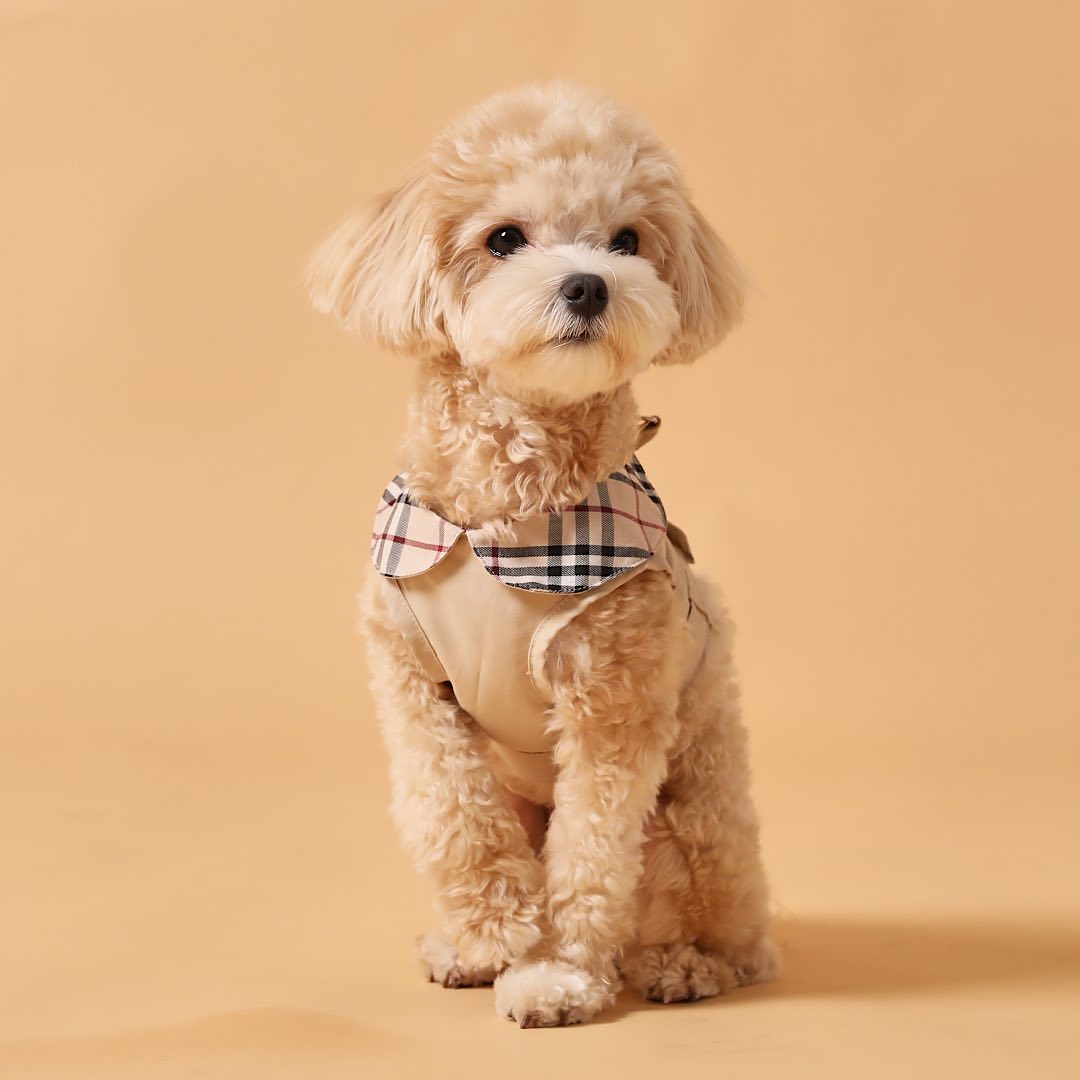 Trench Coat Harness