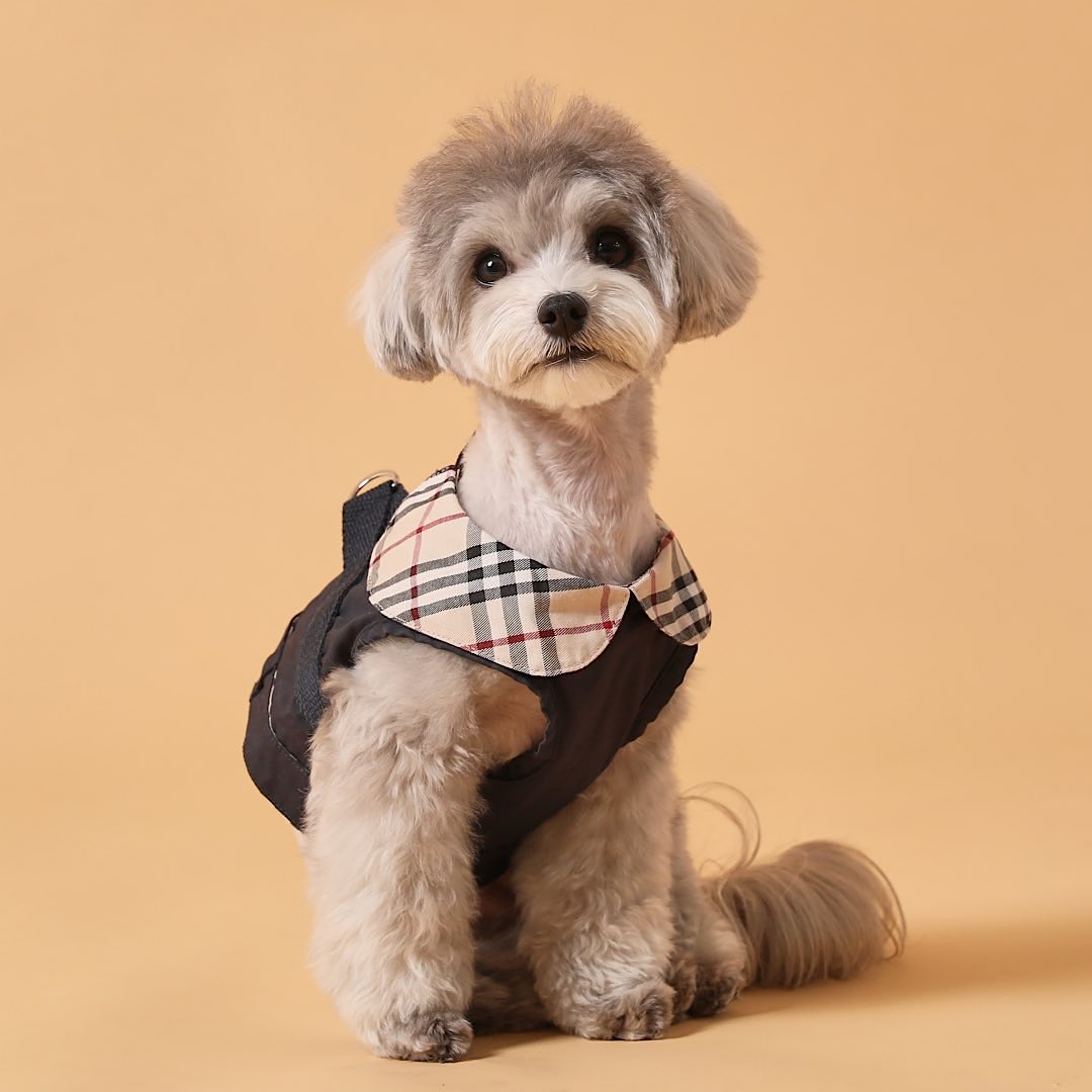 Trench Coat Harness