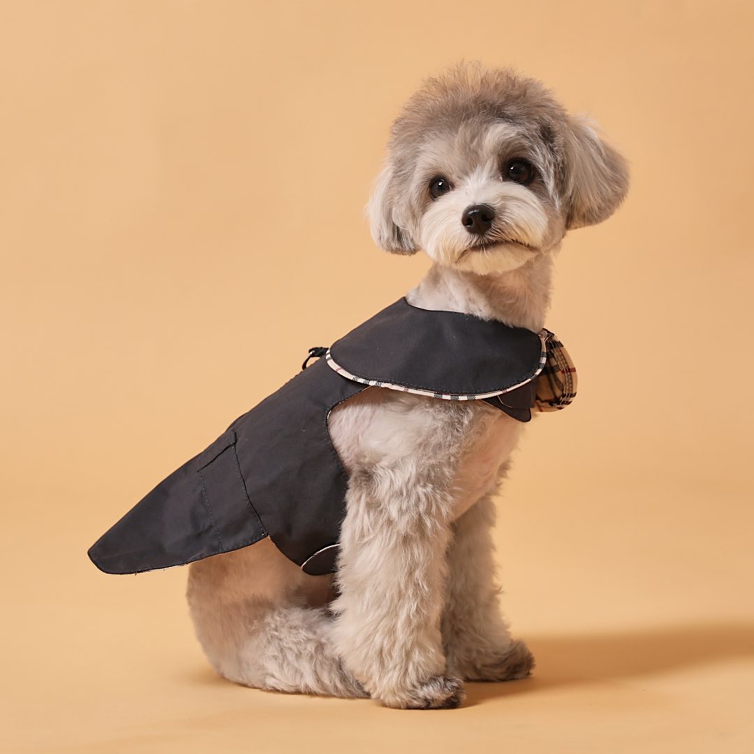 Trench Coat Harness