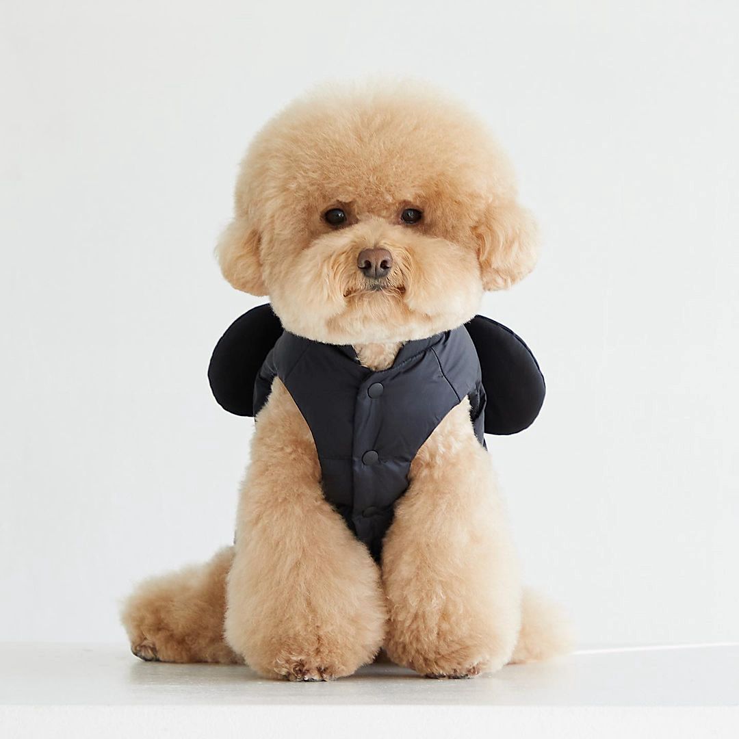 Mickey Padded Vest Jacket