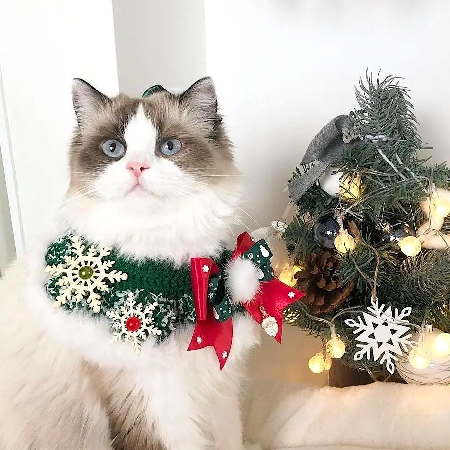 White Christmas Cape