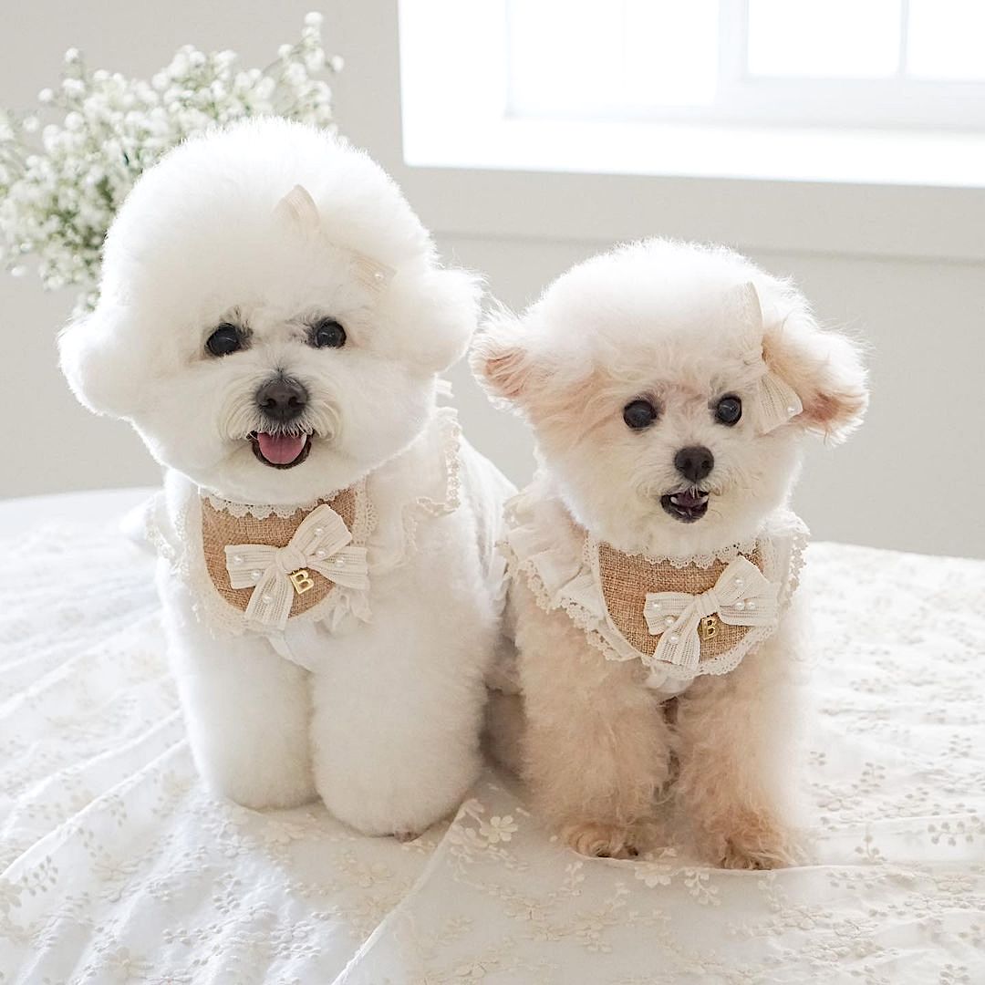 French Lace Ribbon Bib