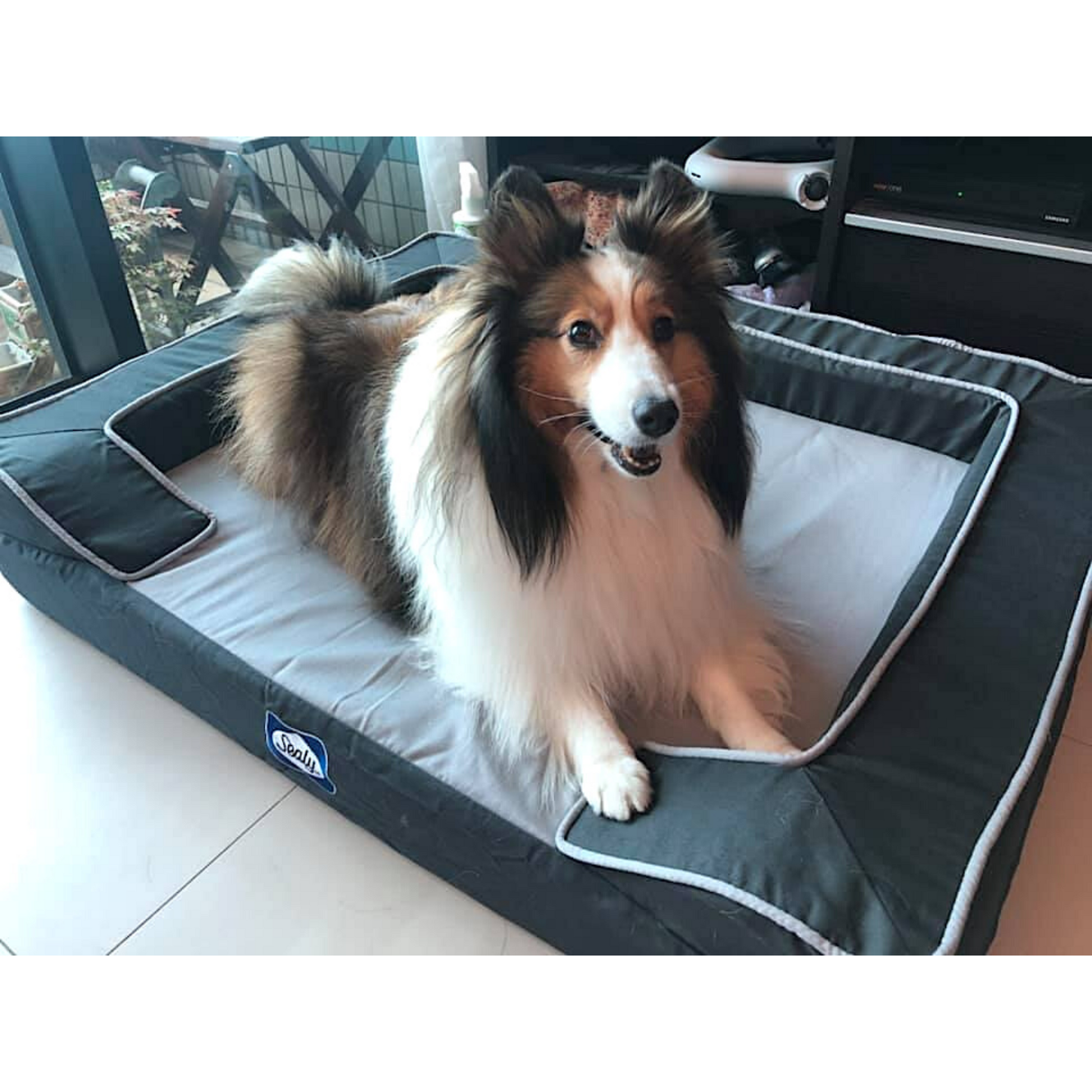 Sealy lux dog bed best sale