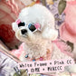 Korean Handmade Sunglasses (14 styles!)