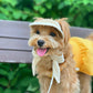 Straw Cap