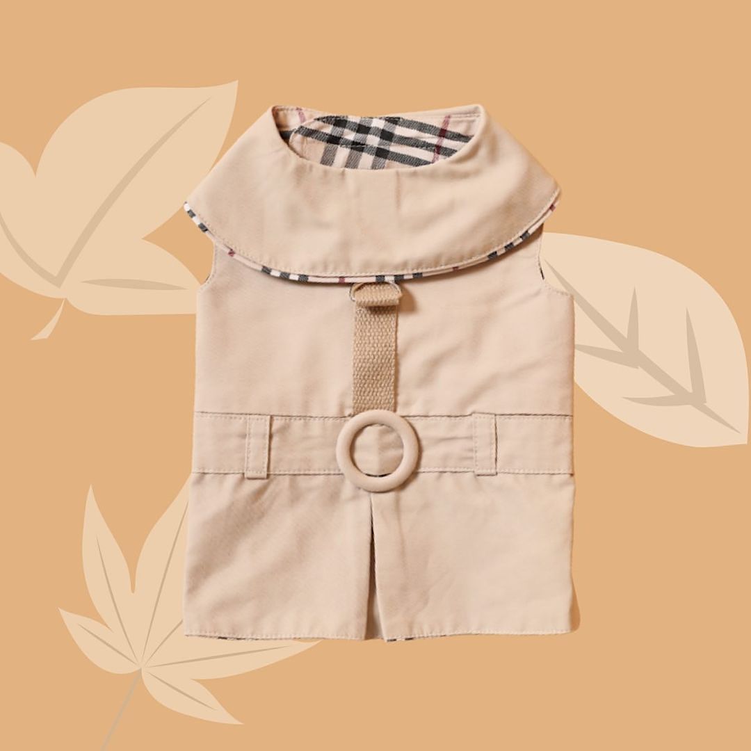 Trench Coat Harness