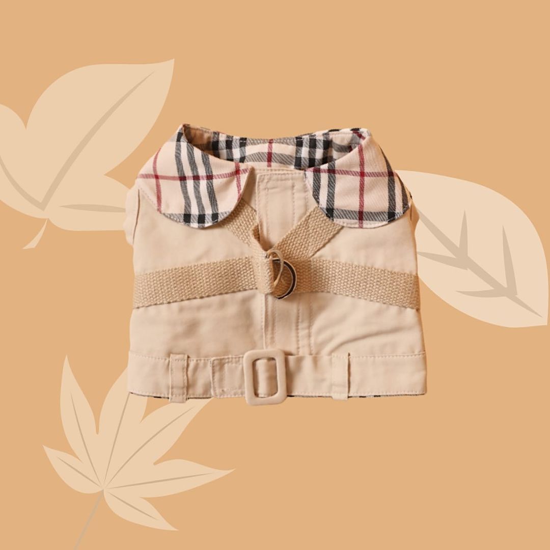 Trench Coat Harness