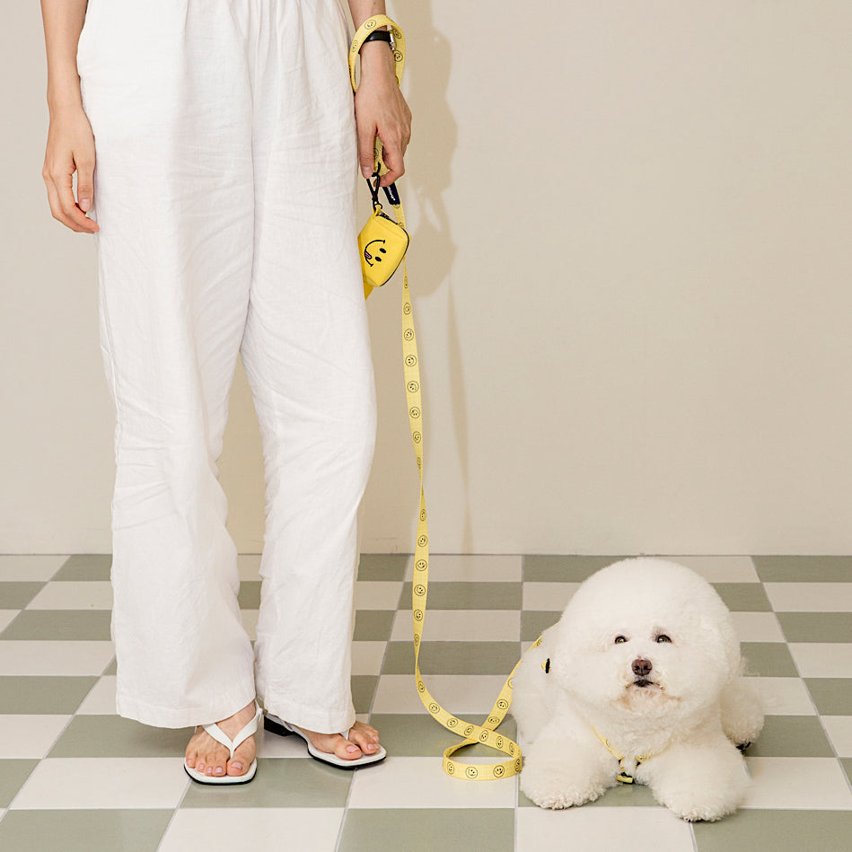[andblank® x Knotted] Smiley Leash