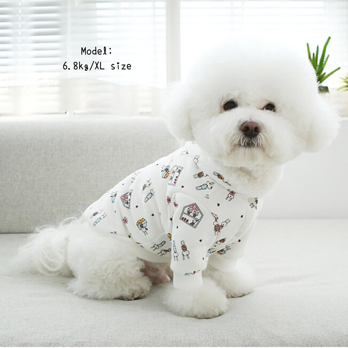 Bunny Hooded Jacket