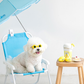 Lemonade Toy