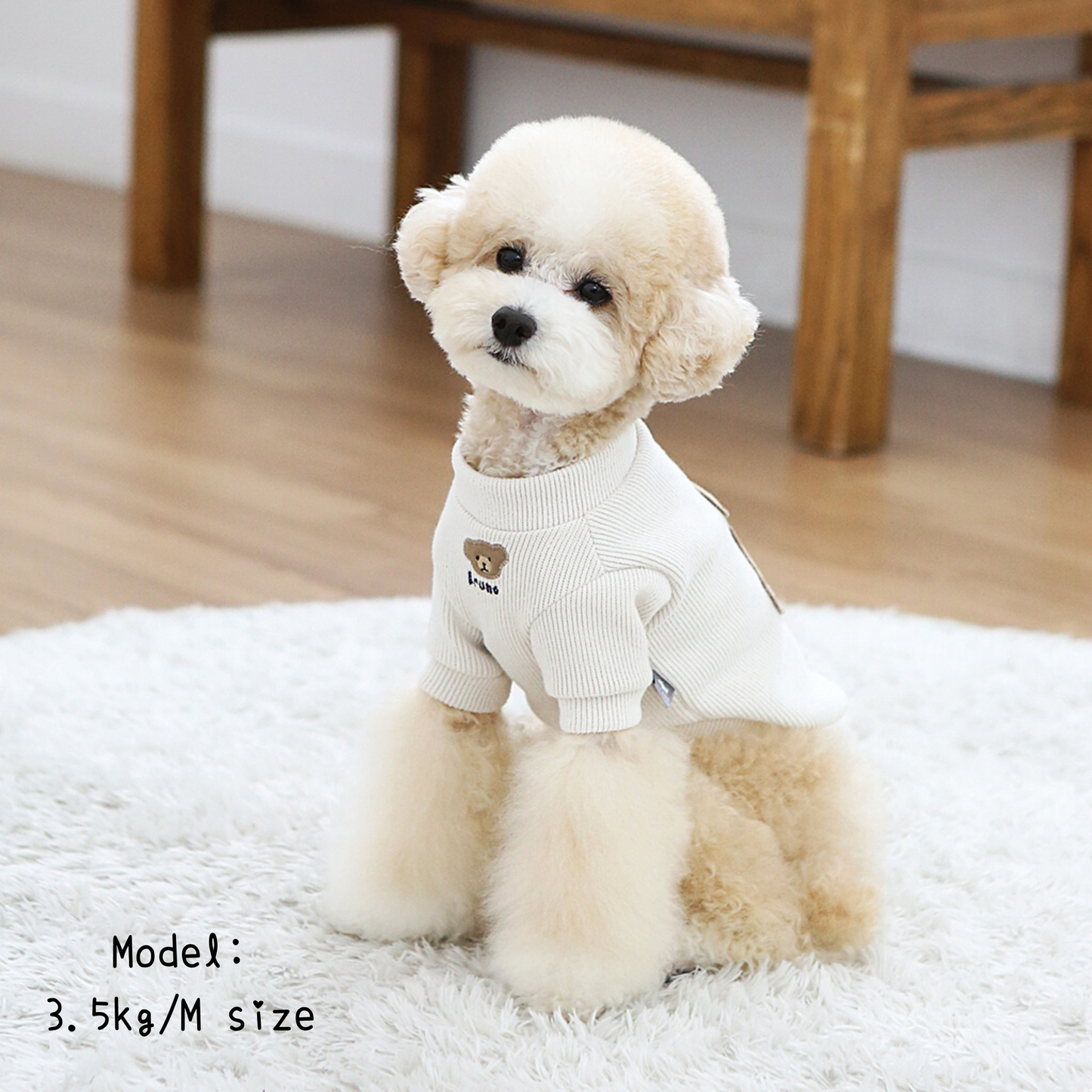 Bruno Bear Knit Tee