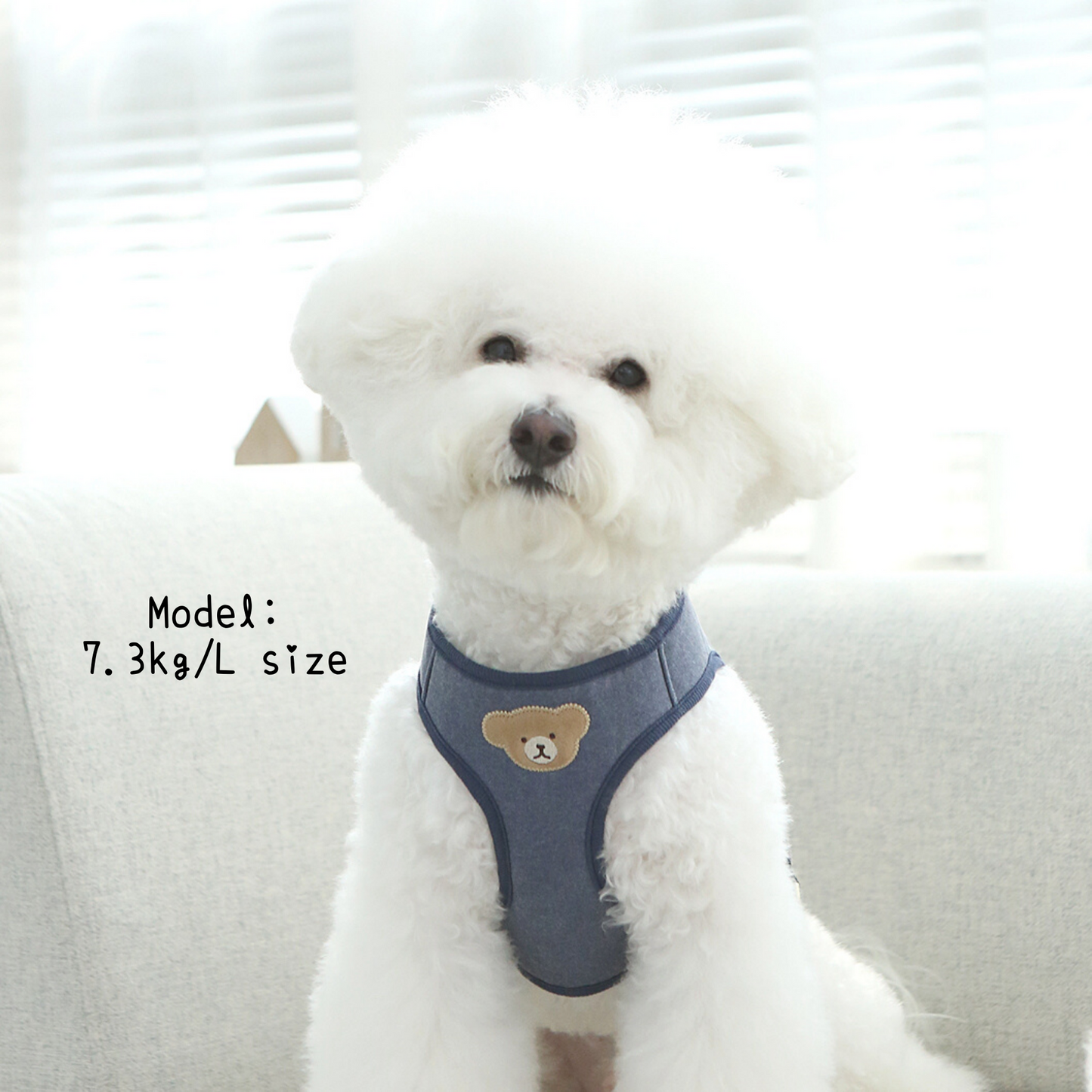 Buddy Harness