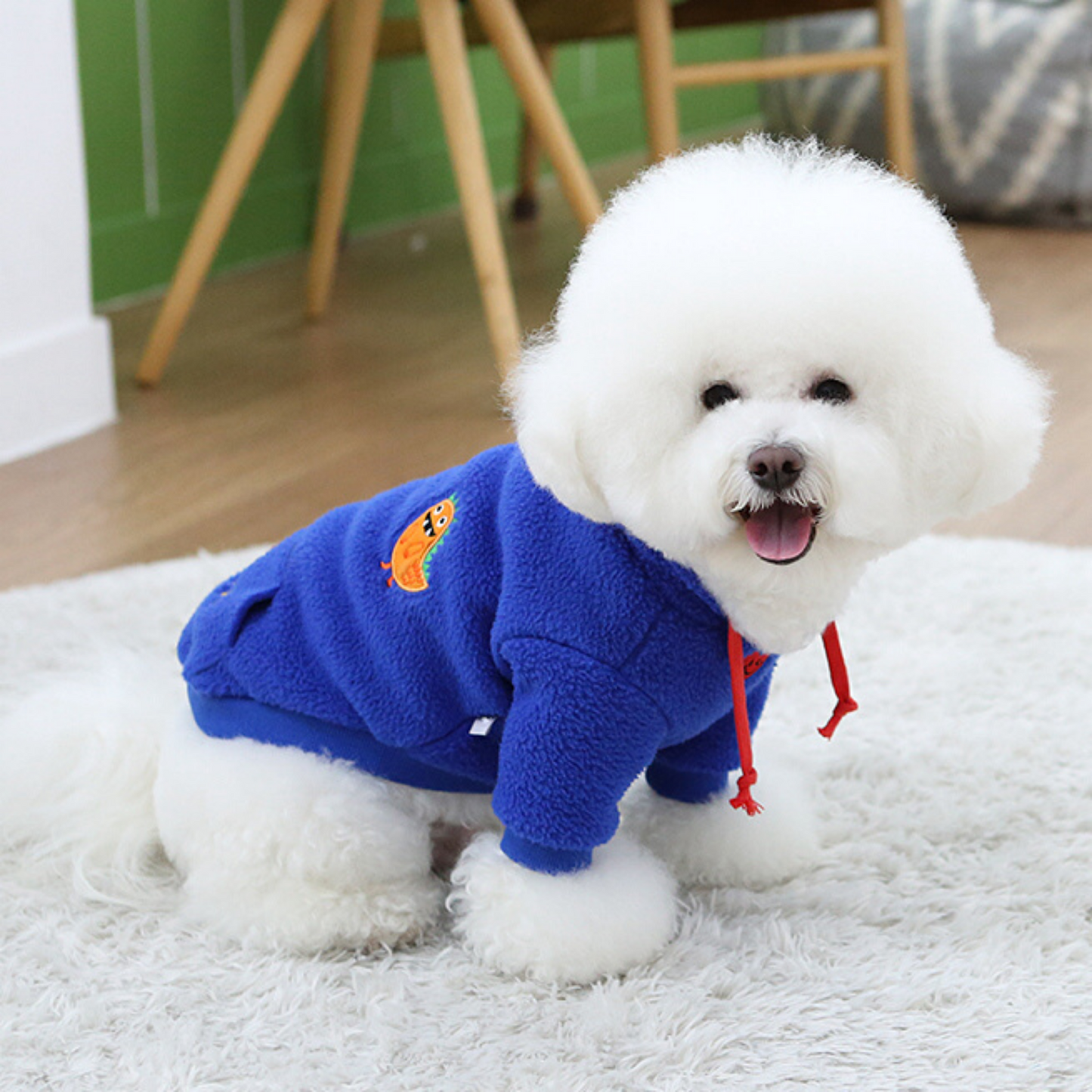 Buddy Hoodie