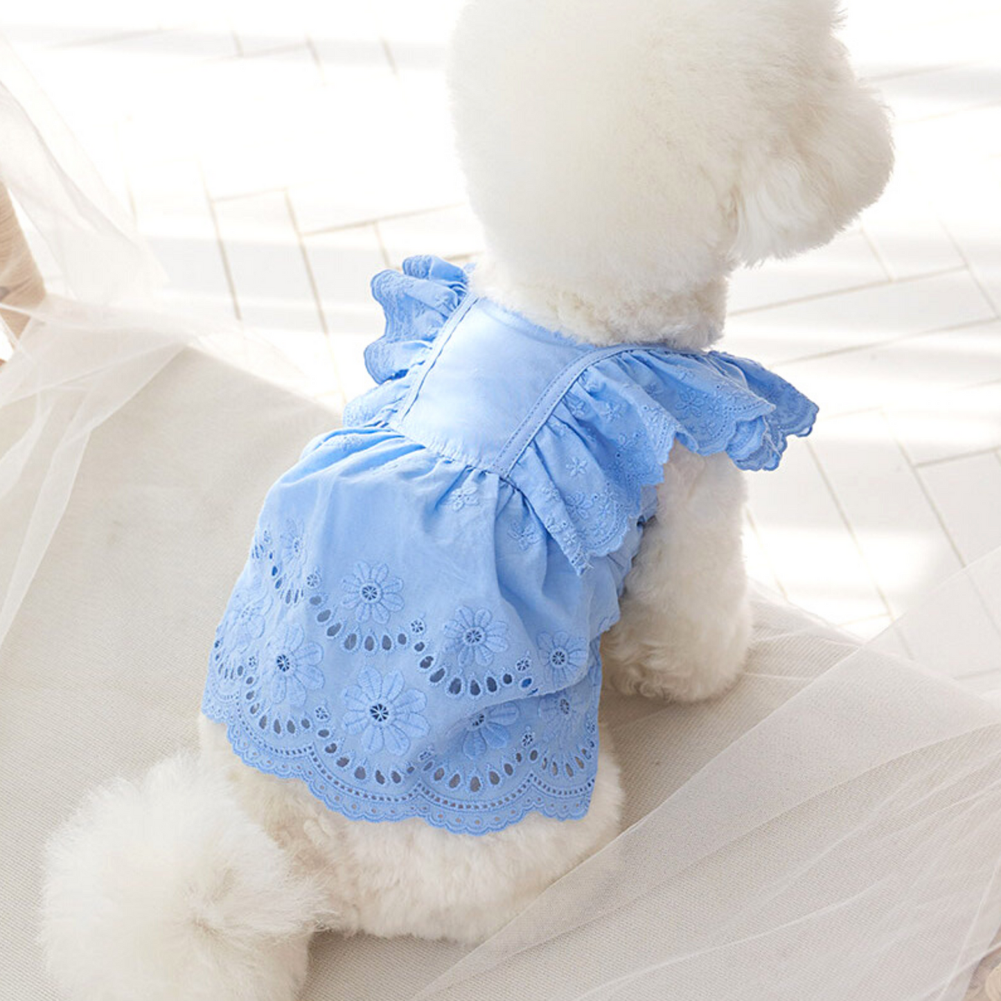 Angel Dress (Only Pink, SM/M)