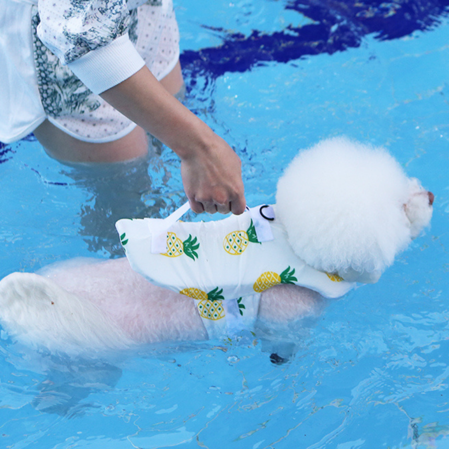 Fruit Print Life Jacket
