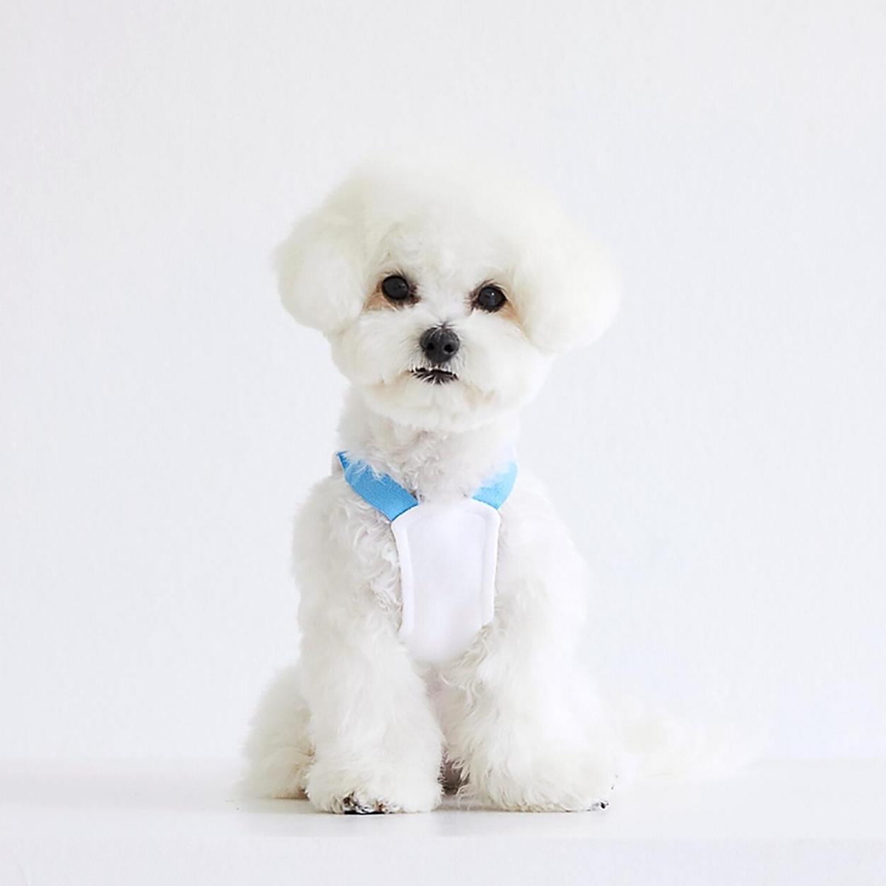Cinnamoroll Crop Vest