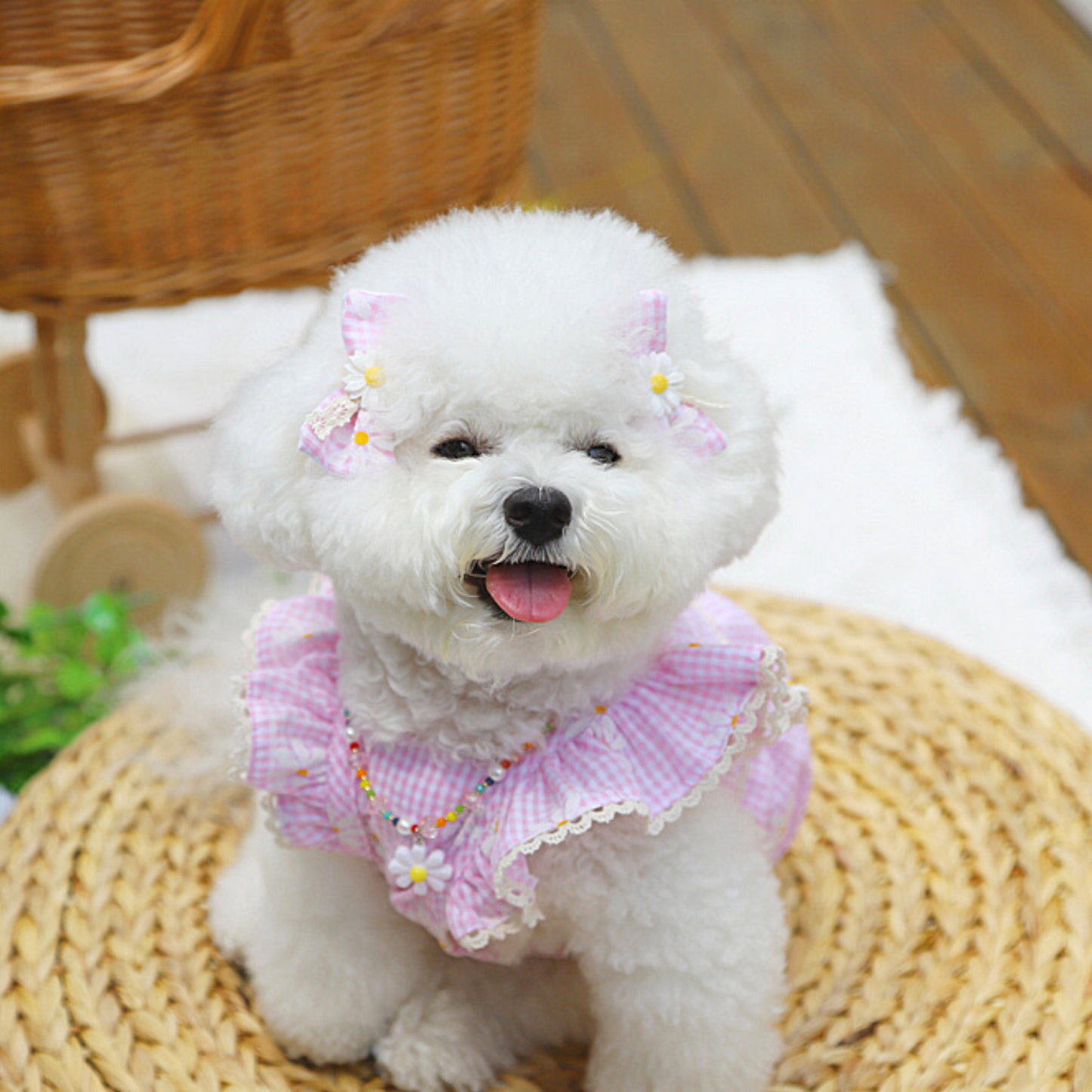 Daisy Balloon Vest