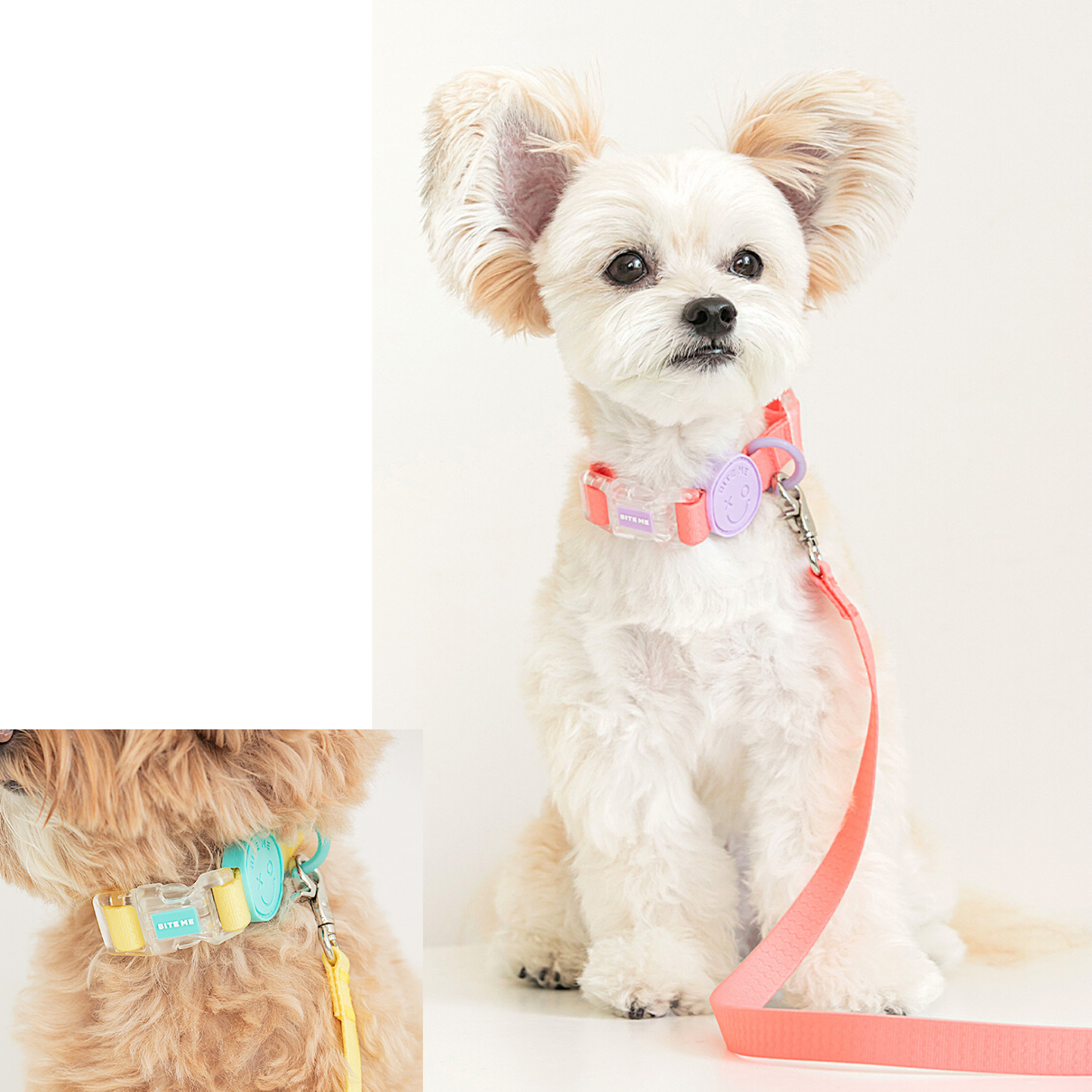 BiteMe Waterproof Leash