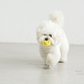 Lemonade Toy