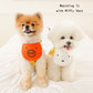 Miffy Bib