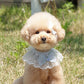 Pastel Lace Cape