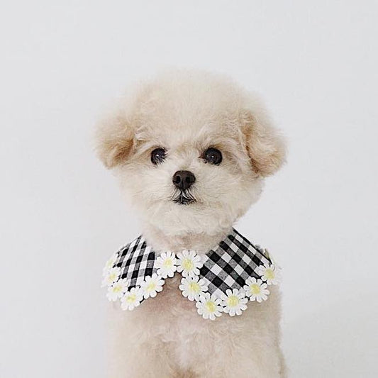 Mini Daisy Check Cape