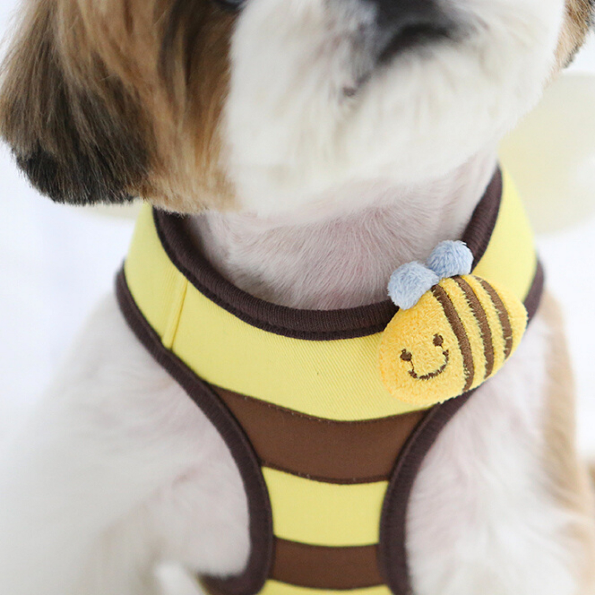 Bee dog harness clearance