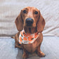 Fresh Pick Bandana