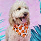 Fresh Pick Bandana
