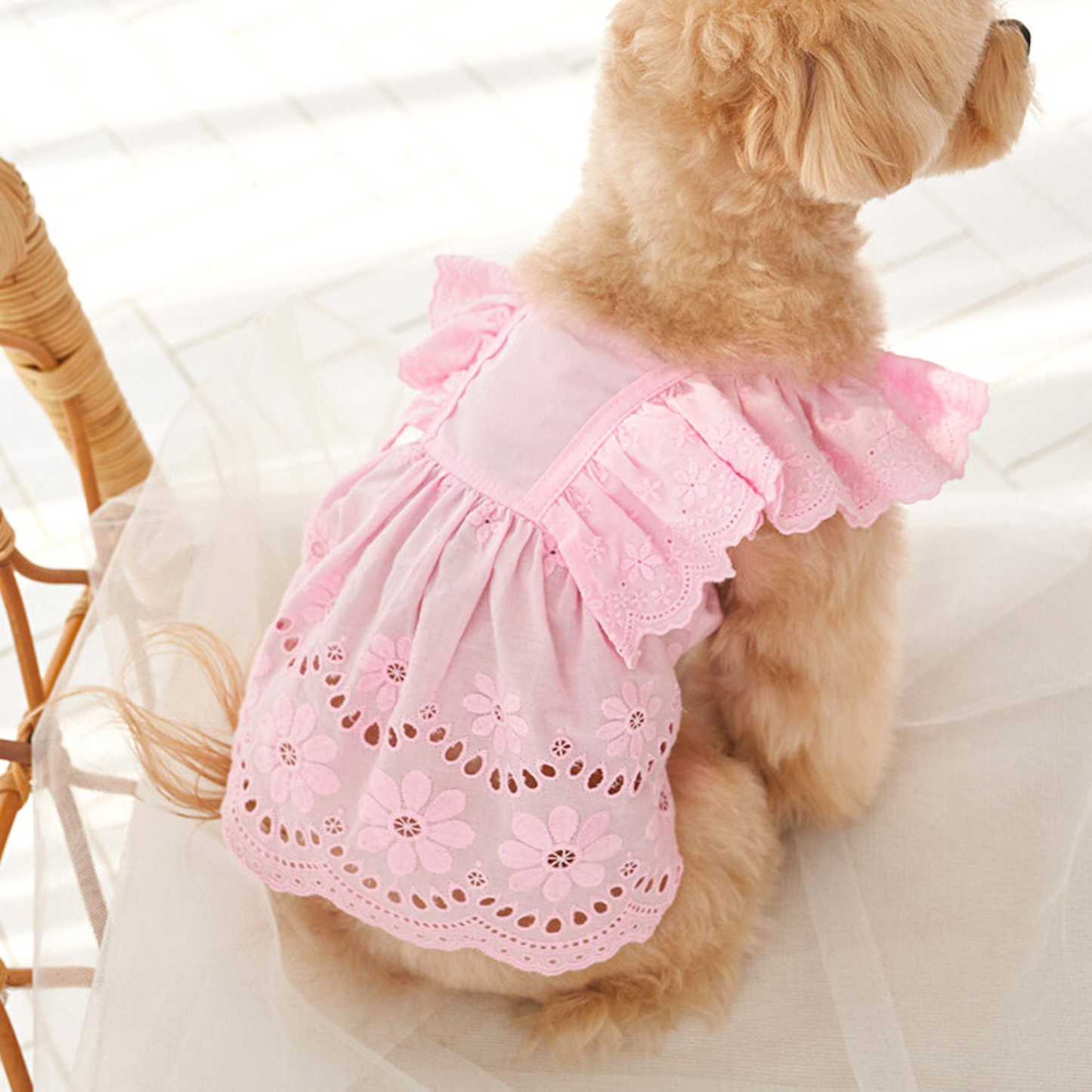 Angel Dress (Only Pink, SM/M)