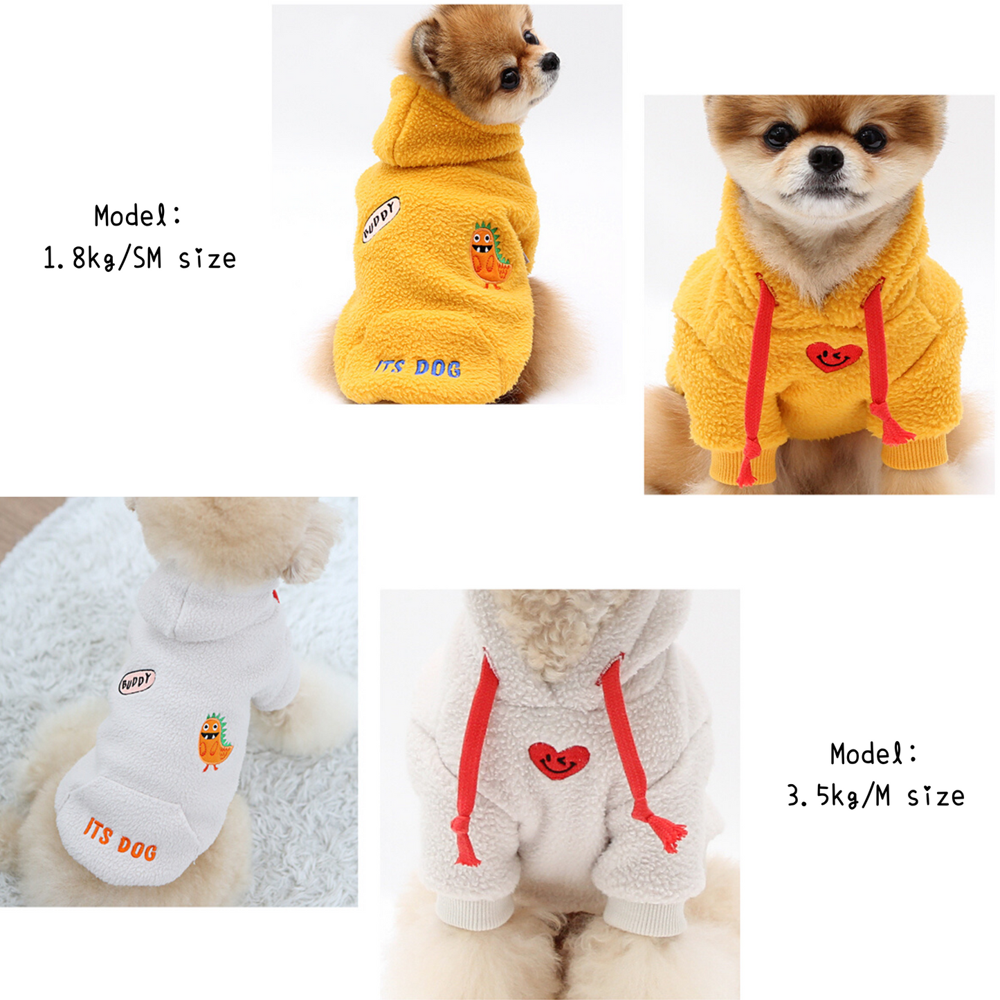 Buddy Hoodie