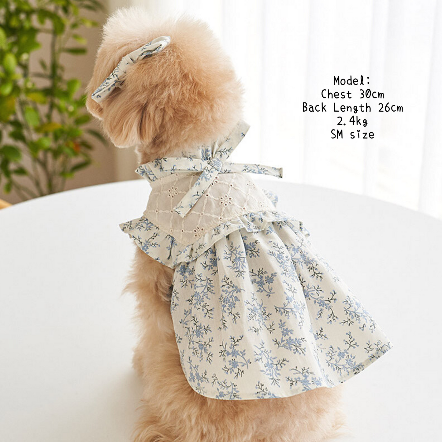 Flower Garden Dress (Only Light Yellow, SM/M & Blue M)