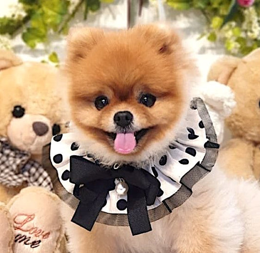 Polka Dot Cape (White)