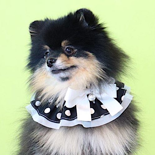 Polka Dot Cape (Black)
