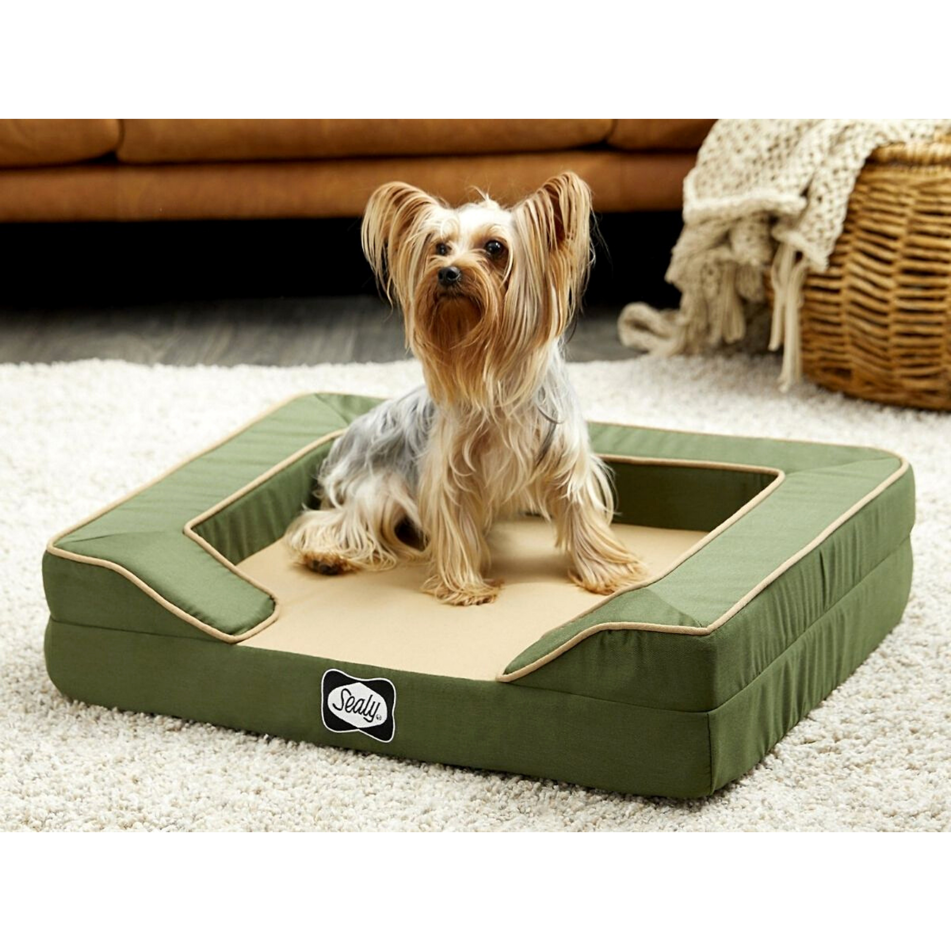 SEALY Lux Premium Memory Foam Dog Bed PAW EVER