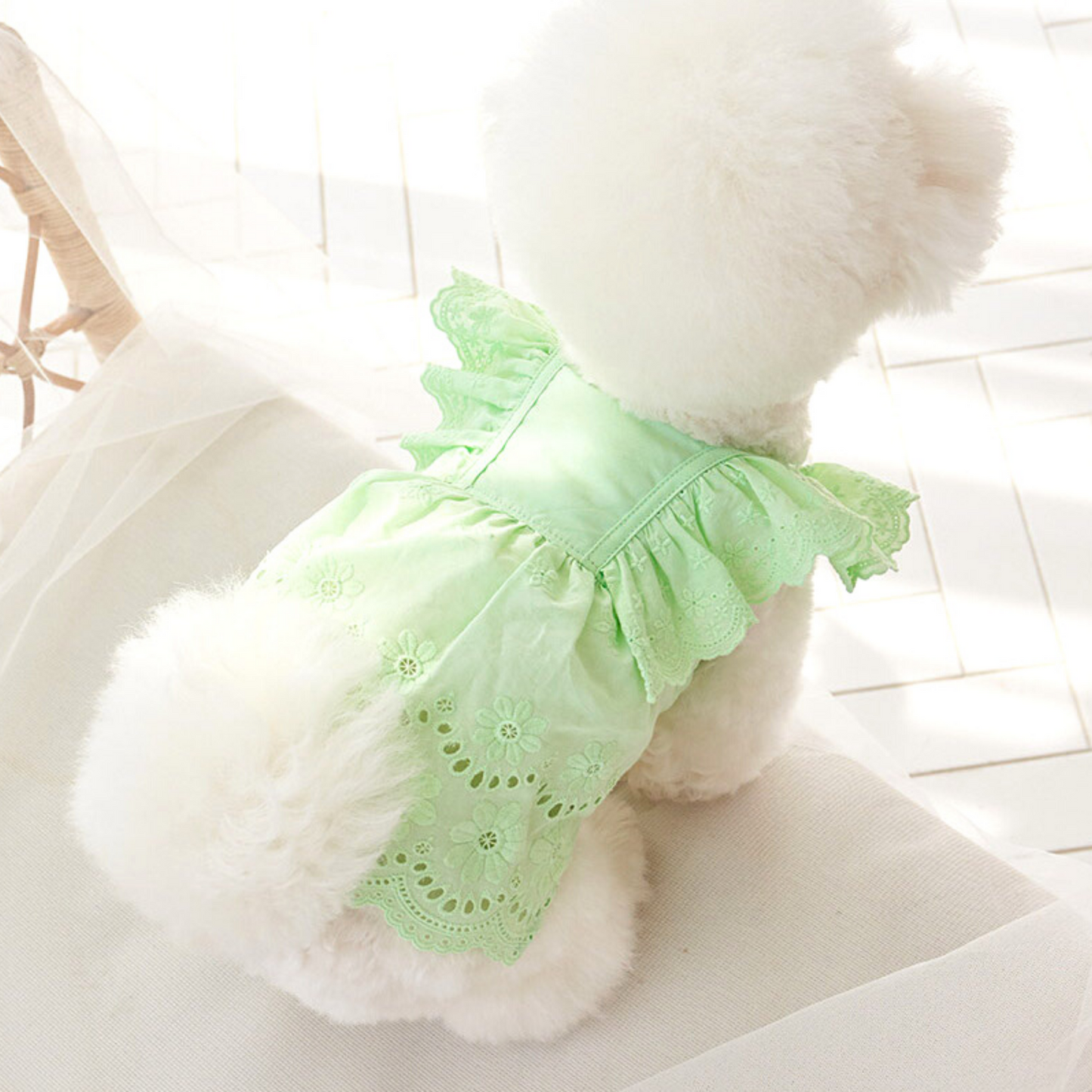 Angel Dress (Only Pink, SM/M)