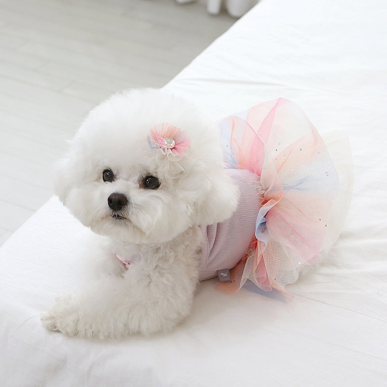 Tutu Dress