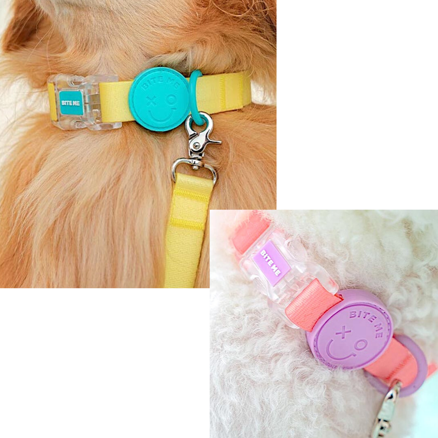 BiteMe Waterproof Collar