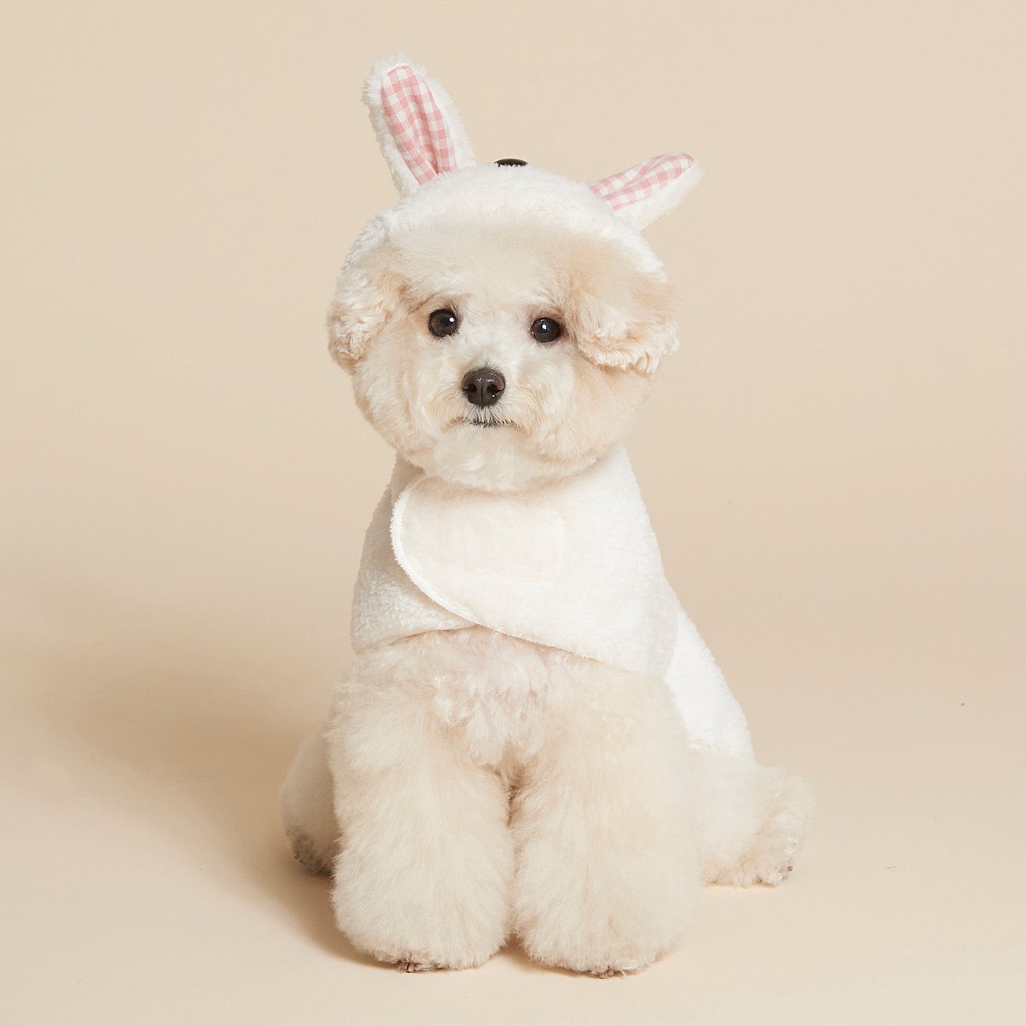 Rabbit Cape – PAW-EVER