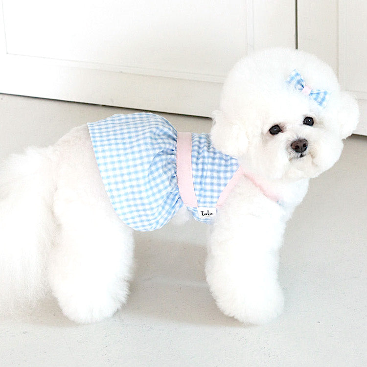 Sunny Check Dress