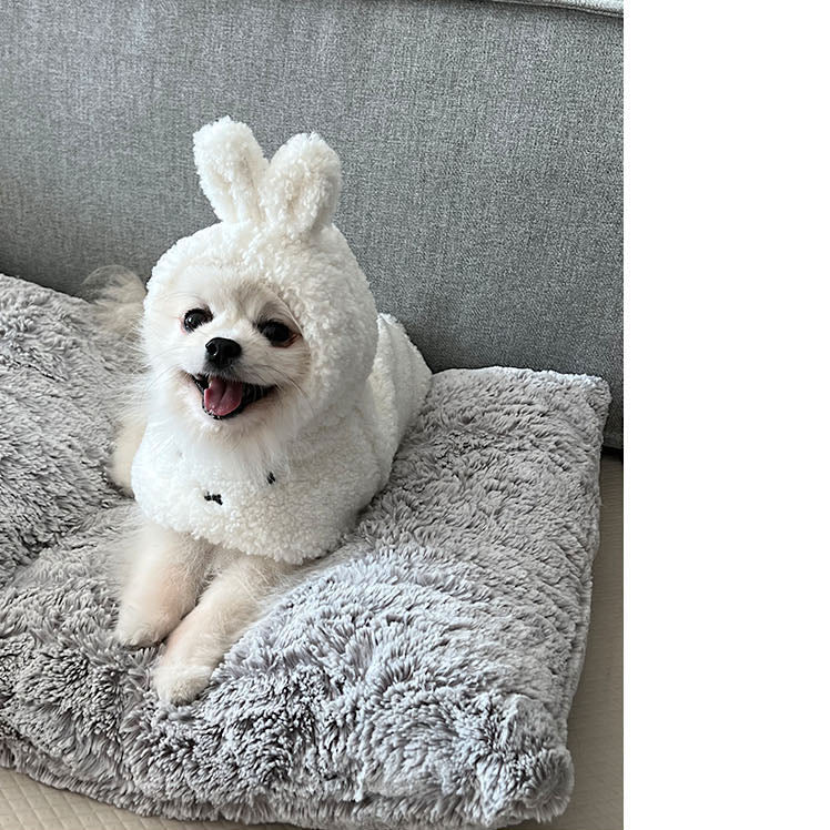 Miffy Boris Poncho