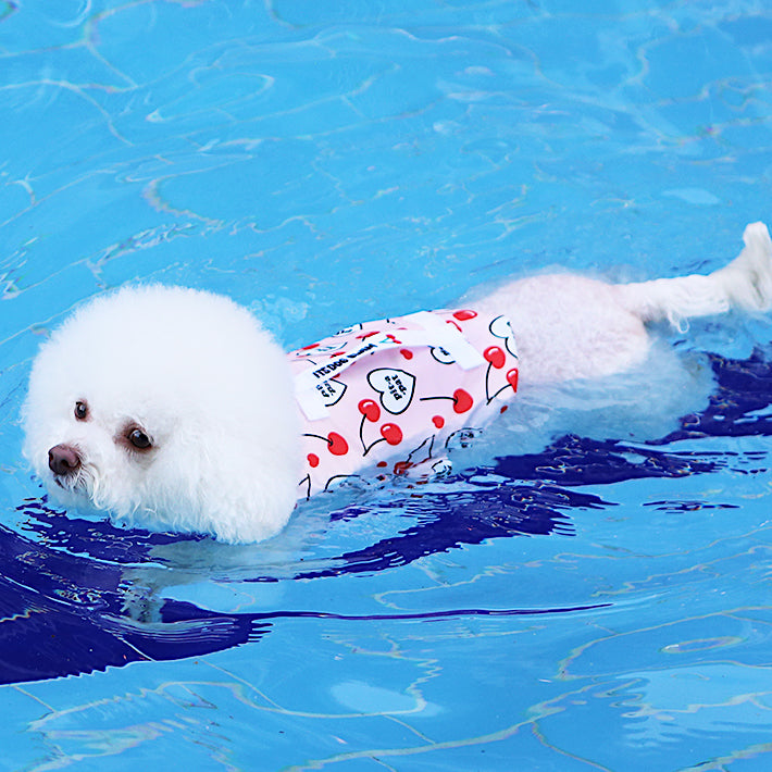 Fruit Print Life Jacket