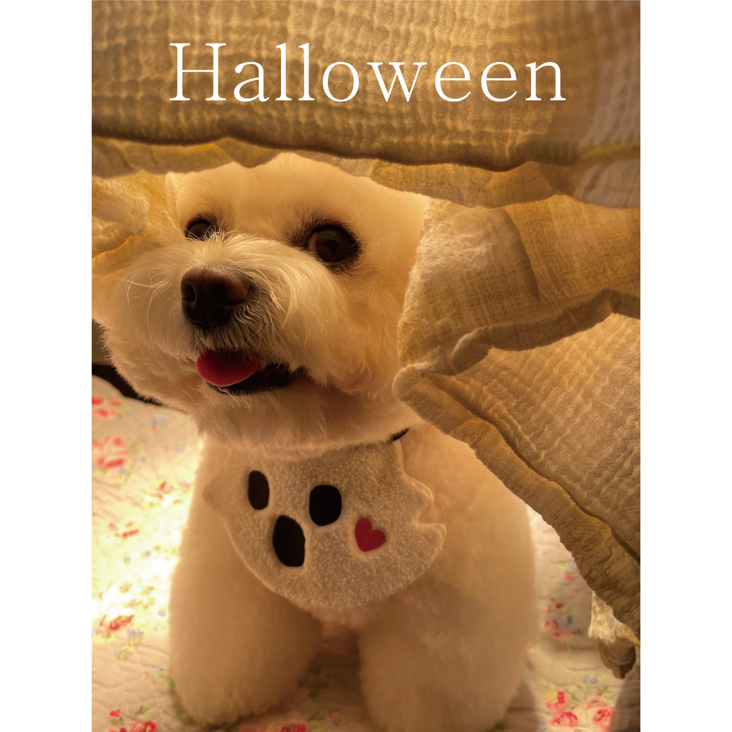 Halloween Bib