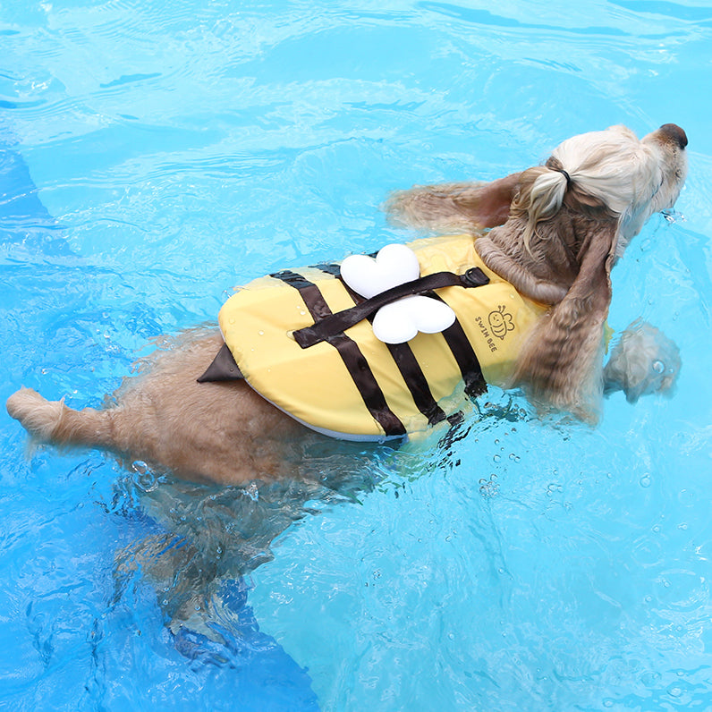 Honey Bee Life Jacket