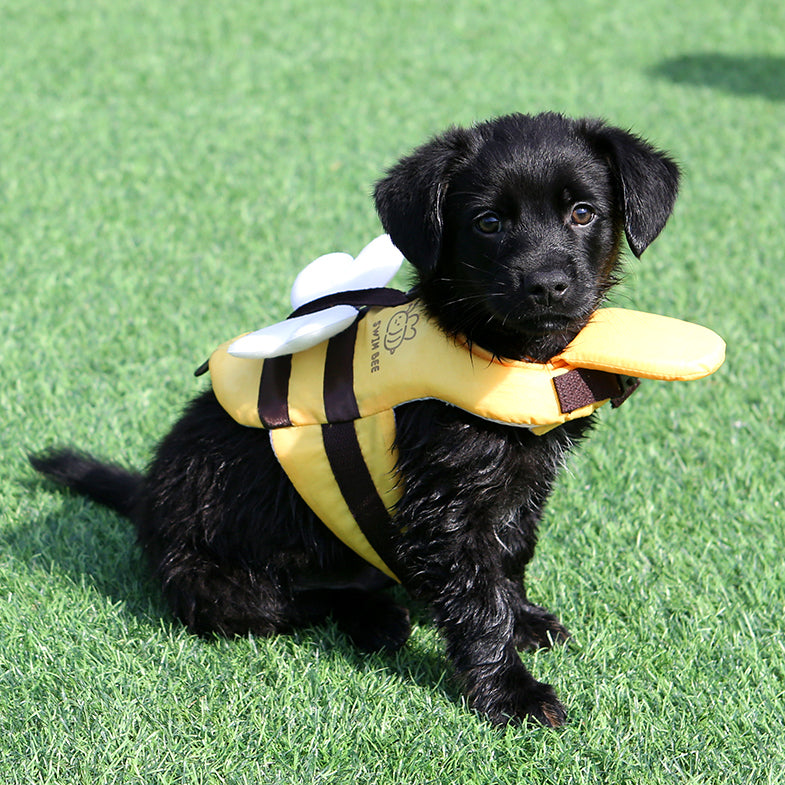 Honey Bee Life Jacket